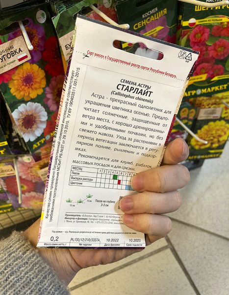 астра Старлайт